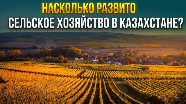 202312042344-ZNX7mVbJ5e.jpeg