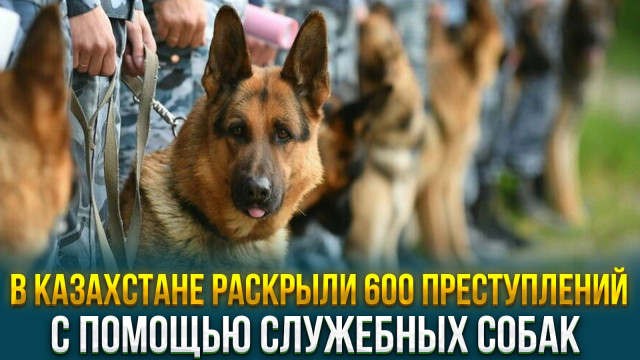 202402192344-OKd2vhUlnX.jpeg