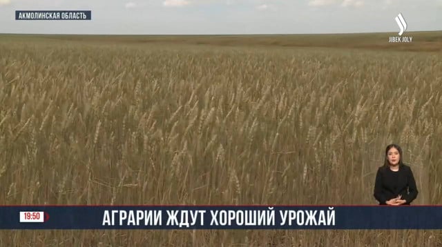 202408031359-VkUGx159Xk.jpg