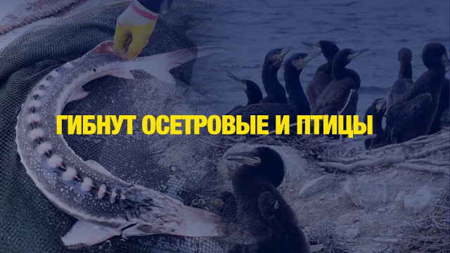 202411010223-eboTl1pNT5.jpeg