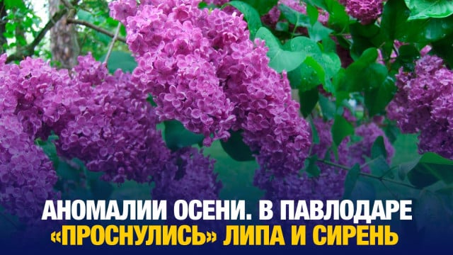 202411052334-MiK8mSk5RY.jpeg