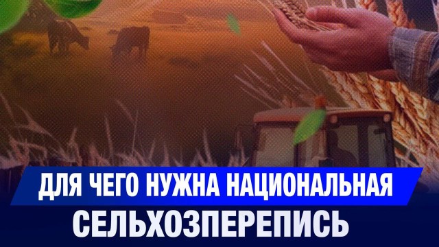 202510102052-7sLQpWPYYA.jfif