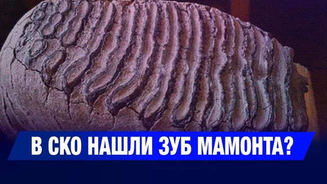 202510222100-KdS0TIwWDv.jfif