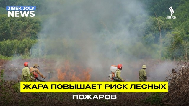 Жара повышает риск лесных пожаров