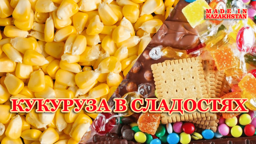 media/k2/items/cache/839f24b61a1b5be82278cc5e7ff079ed_XL.jpg