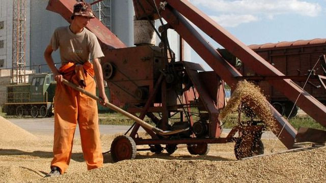 Казахстан экспортирует рекордное количество зерна за границу в 2023 году