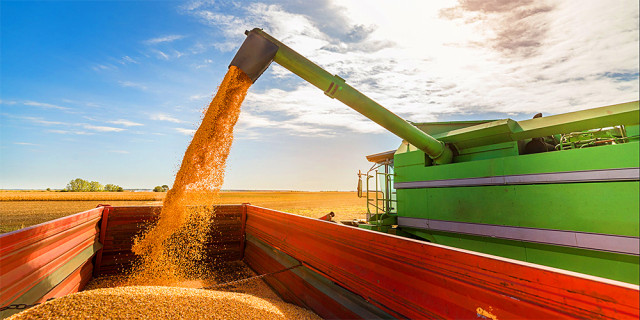 В этом сезоне Казахстан экспортирует 5 млн. тонн зерна