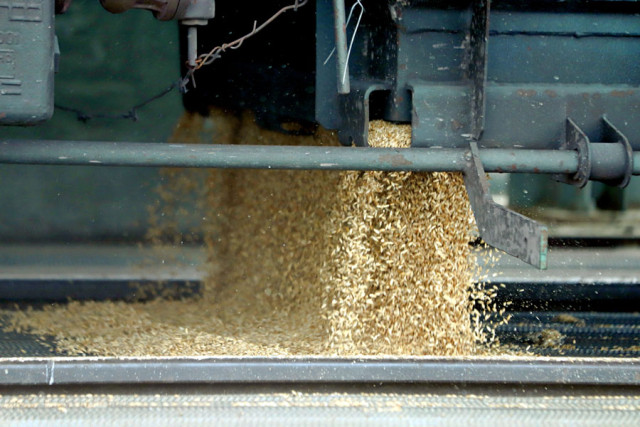 Рекорд поставок зерновых в Китай установил Казахстан в 2023 году