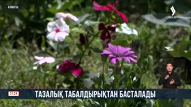 Тазалық табалдырықтан басталады