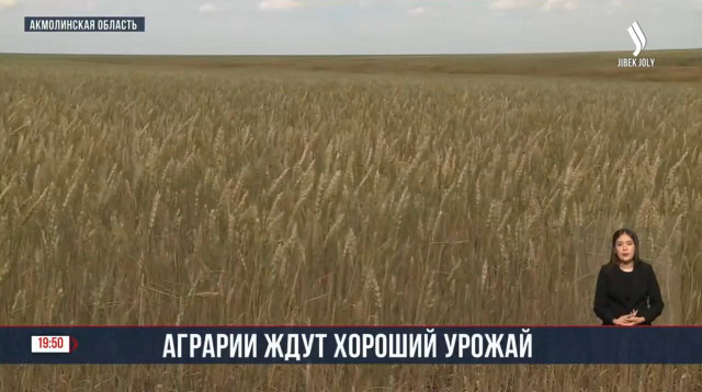 202408031359-VkUGx159Xk.jpg
