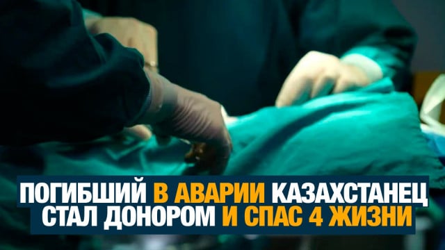 Главные новости 08.08.2024 г.