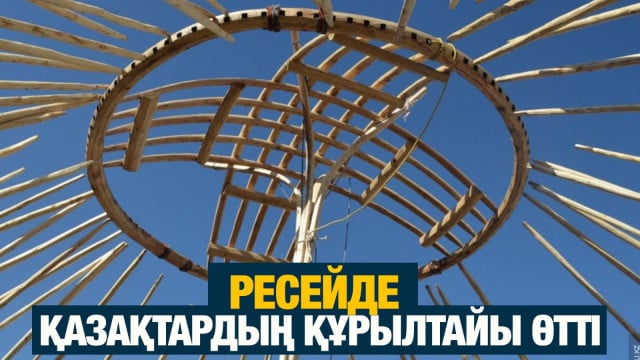 202408262246-t9CUyji2O6.jpeg