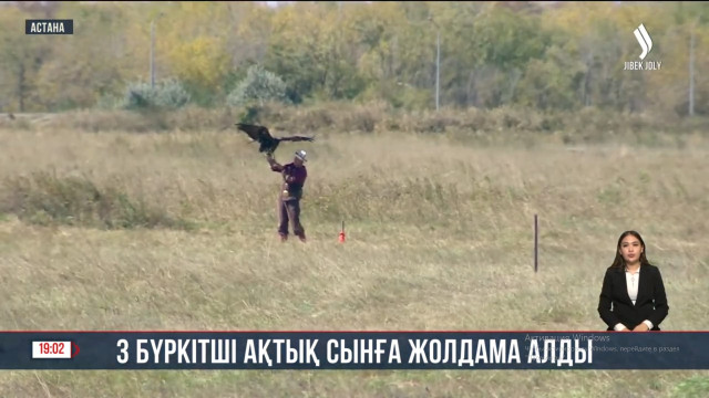 Көшпенділер ойындары: 3 бүркітші ақтық сынға жолдама алды