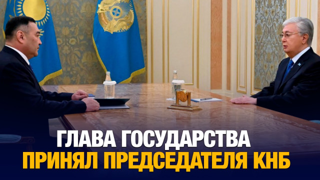 Глава государства принял председателя КНБ