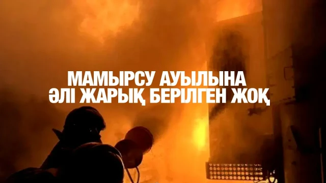 202412201503-13gla4vjUa.webp