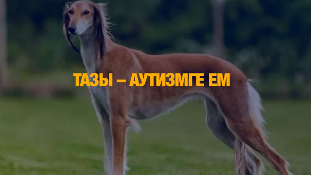 202501180040-tJfC27VETg.jpeg