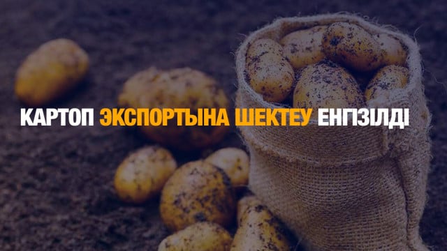 Картоп экспортына шектеу енгізілді