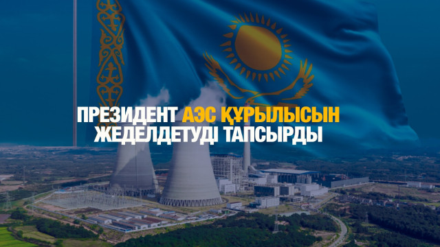 Президент АЭС құрылысын жеделдетуді тапсырды