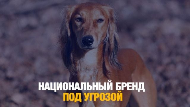 Кому принадлежат тазы?