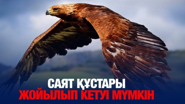 202503262237-uxKu3s9top.jpeg