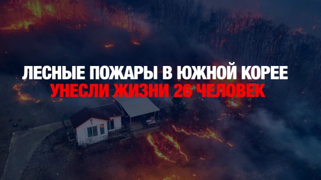 Лесные пожары в Южной Корее унесли жизни 26 человек
