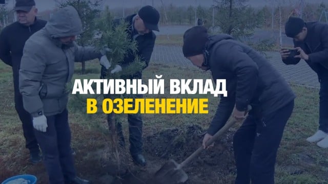 «Таза Қазақстан»: деревья от центра долголетия