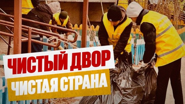 Чистый двор — чистая страна: как приучить людей к порядку?