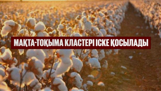 Мақта-тоқыма кластері іске қосылады