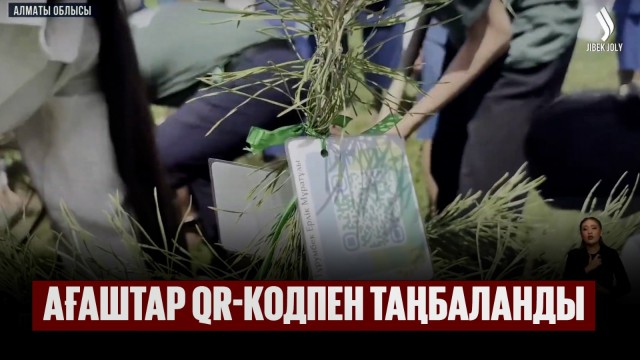 Ағаштар QR-кодпен таңбаланды