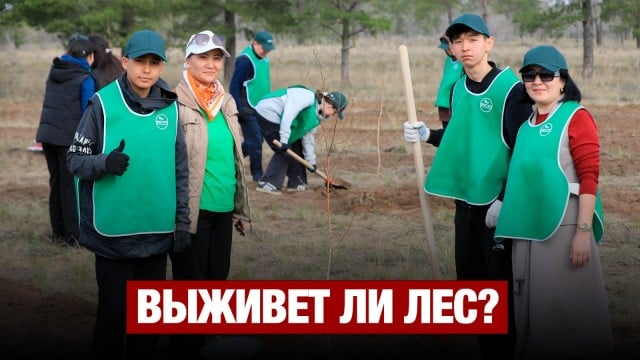 Школы юных лесников открыта в Актюбинской области