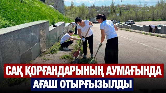 Таза Қазақстан: Сақ қорғандарының аумағына 50 түп ағаш отырғызылды | Jibek Joly news