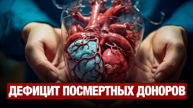 202505062048-hxkxumMjws.jpeg