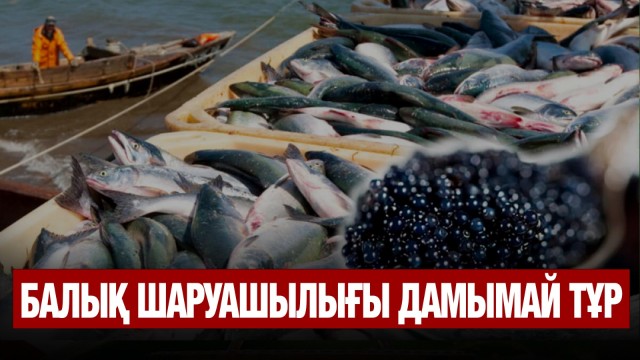 Балық шаруашылығы дамымай тұр