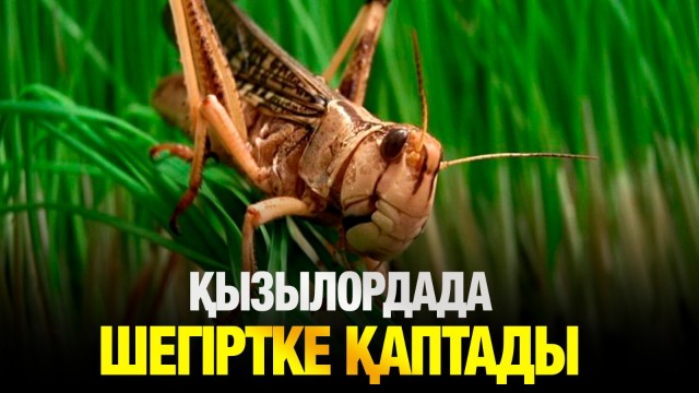 202505262124-vL9kDGclkU.jpeg