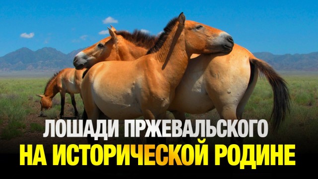 202506052133-LOkR2Ksfuo.jpeg
