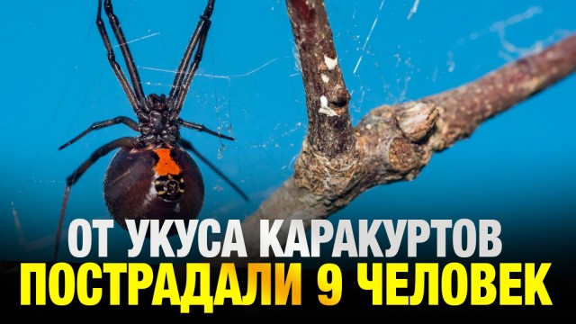 202506132116-rvPCSUYecG.jpeg