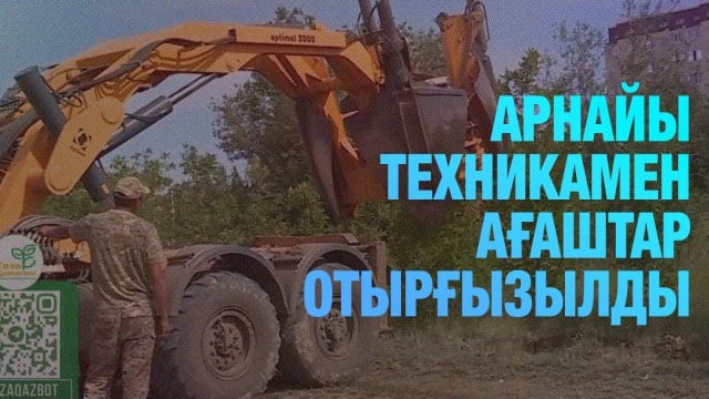 «Таза Қазақстан»: Арнайы техникамен ағаштар отырғызылды