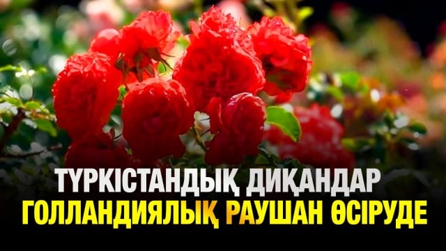 202506302000-vatW0RtraU.jpeg
