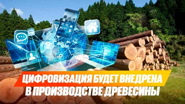 202507141958-DQe79lwlrW.jpeg