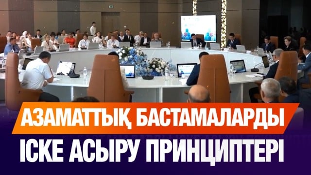 Азаматтық бастамаларды іске асыру принциптері