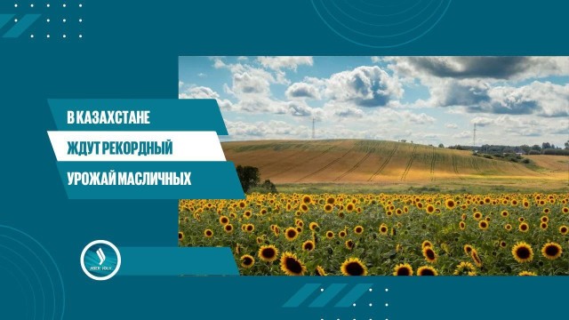 В Казахстане ждут рекордный урожай масличных