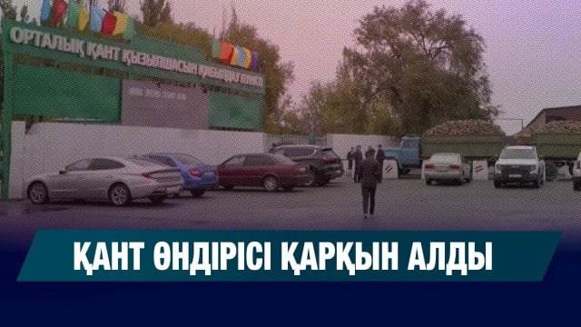 202510011941-YUVDOqR5HS.jpg