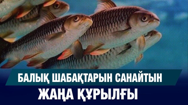 Балық шаруашылығындағы жаңашылдық