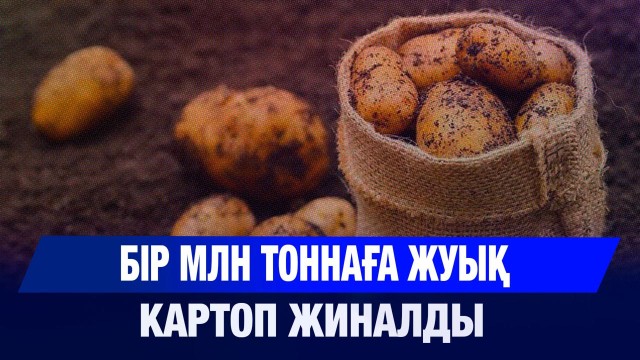 Павлодар агроинновациялар орталығы болуға дайын