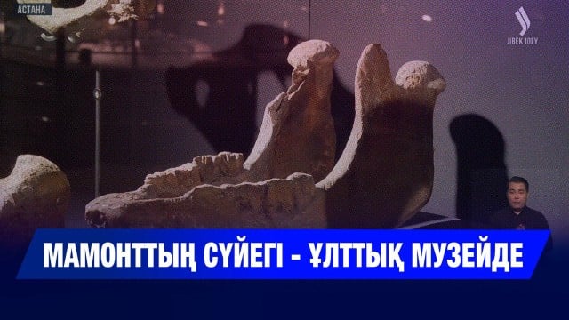 202510152054-t3gvycwLOg.jpeg