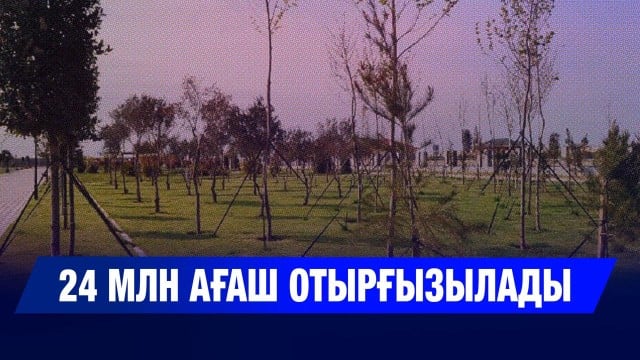 Орман қоры ұлғаяды