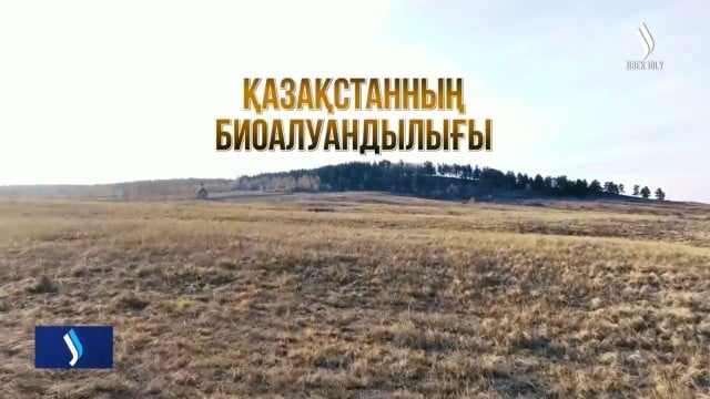 Қазақстанның биоалуандылығы: Флора мен фаунамызды қалай сақтап қаламыз?