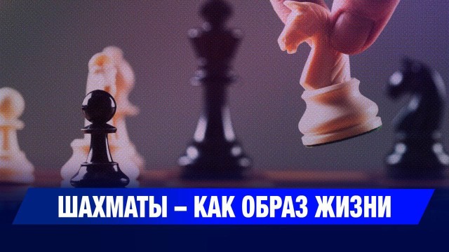 В Улытау прошёл чемпионат по классическим шахматам