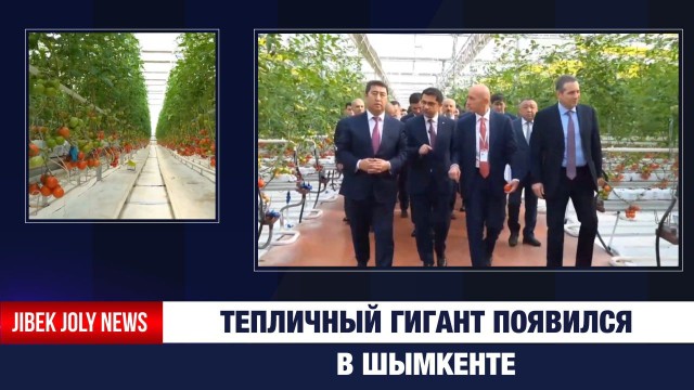 Тепличный гигант появился в Шымкенте