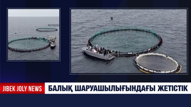 Балық шаруашылығындағы жетістік